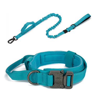 Dog Heaven™ Heavy Duty Collar & Bungee Leash